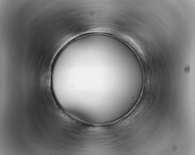 X0000102371276200808151827