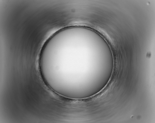 X0000102371277200808151827