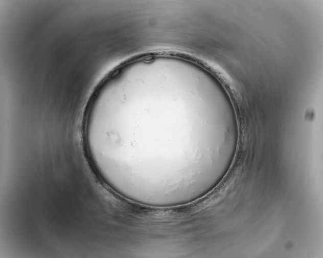 X0000102371279200808151827