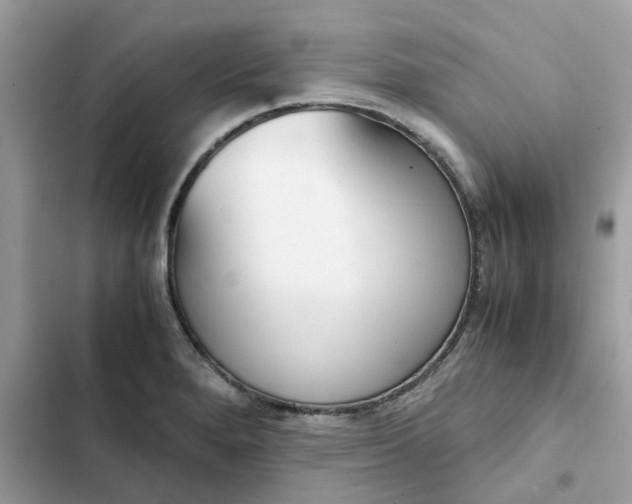 X0000102371280200808151827