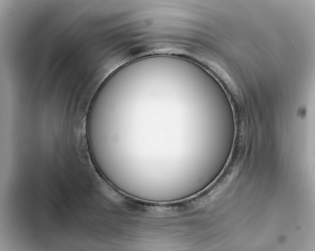 X0000102371281200808151827