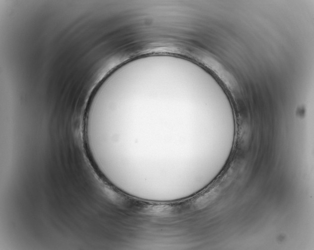 X0000102371282200808151827