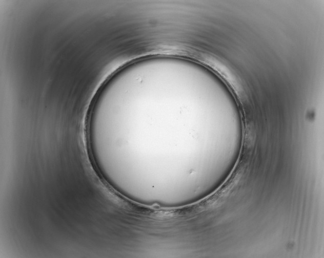 X0000102371283200808151827