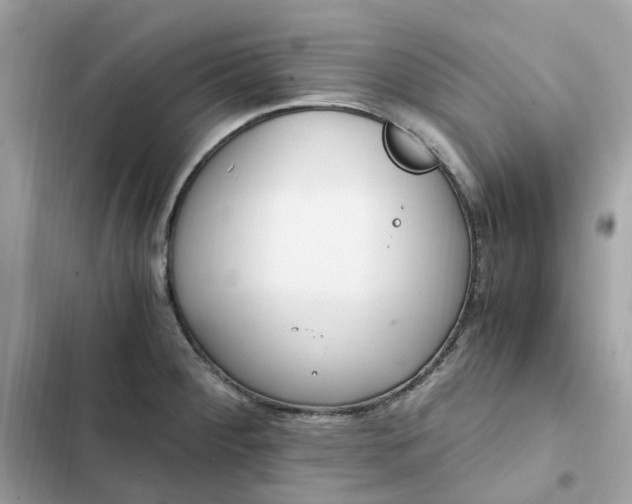 X0000102371284200808151827