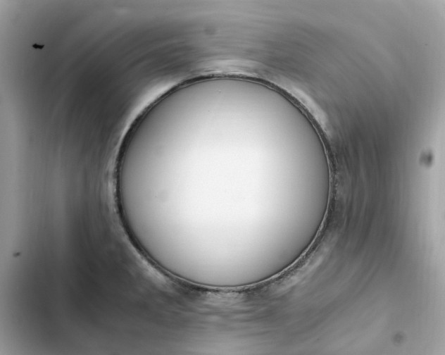 X0000102371285200808151827