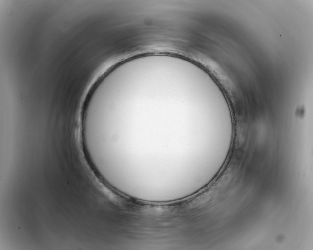 X0000102371286200808151827