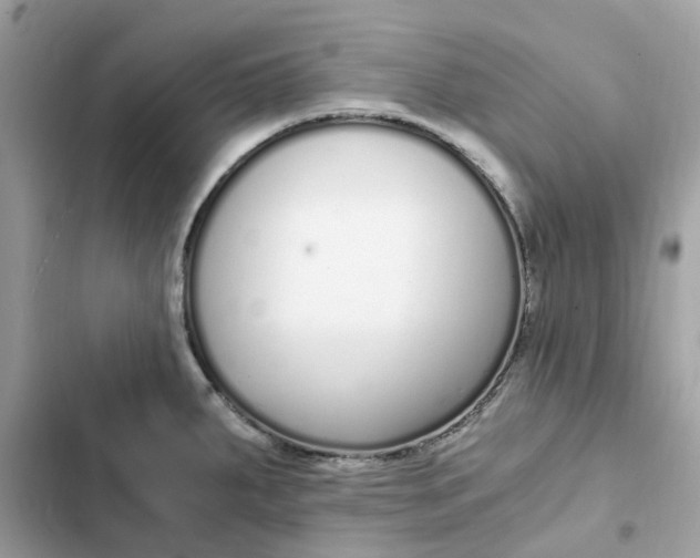 X0000102371287200808151827