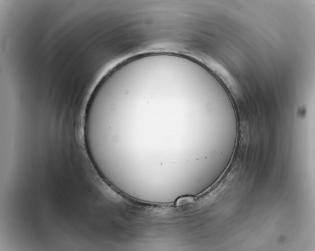 X0000102371288200808151827