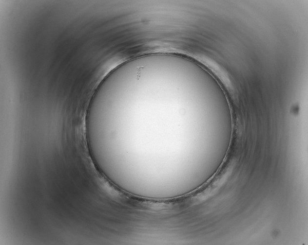 X0000102371289200808151827