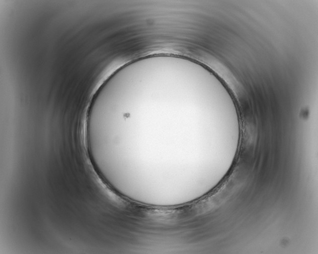 X0000102371290200808151827