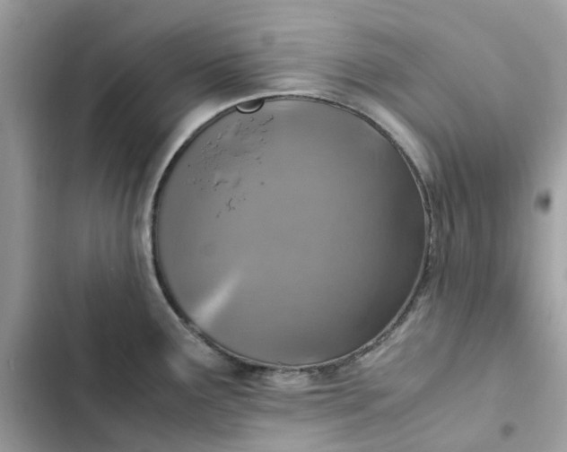 X0000102371291200808151827