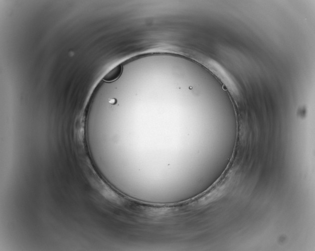 X0000102371292200808151827