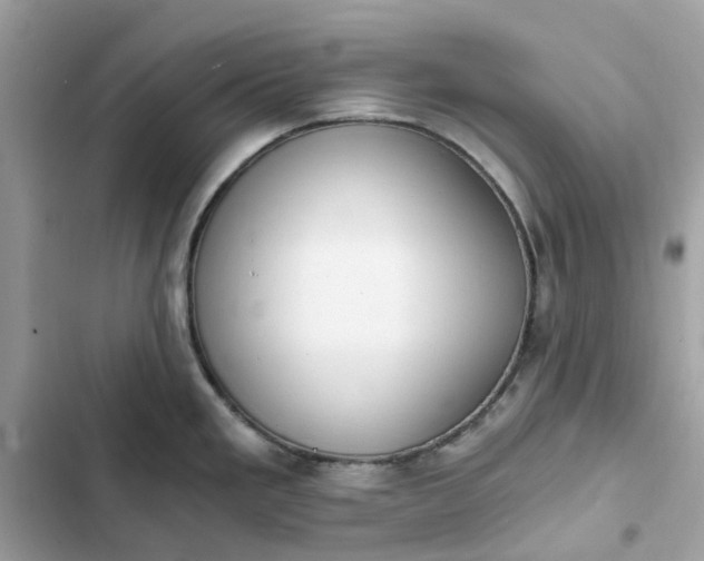 X0000102371293200808151827