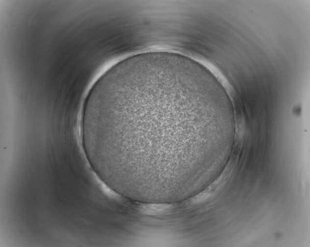 X0000102371294200808151826