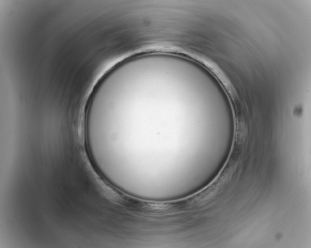 X0000102371295200808151826