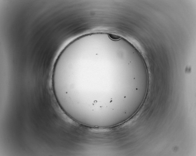 X0000102371296200808151826