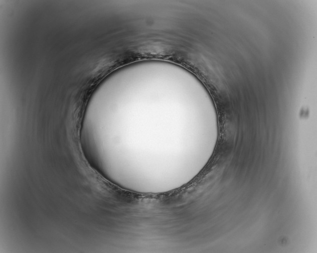 X0000102371297200808151826