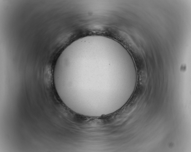 X0000102371298200808151826