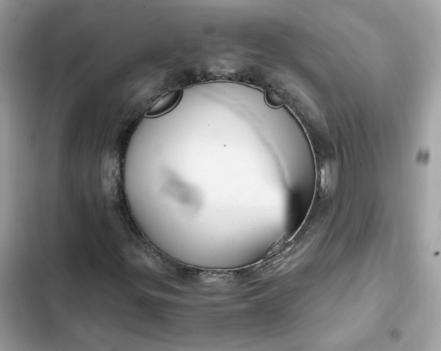 X0000102371299200808151826