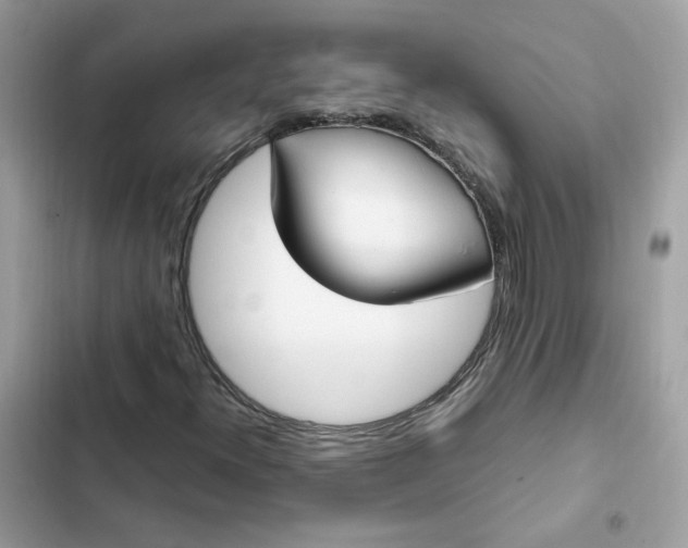 X0000102371300200808151826