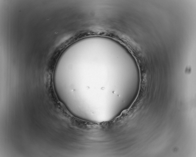 X0000102371302200808151826