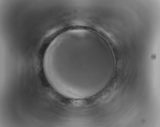 X0000102371303200808151826