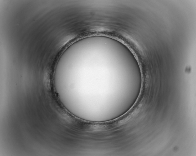 X0000102371305200808151826