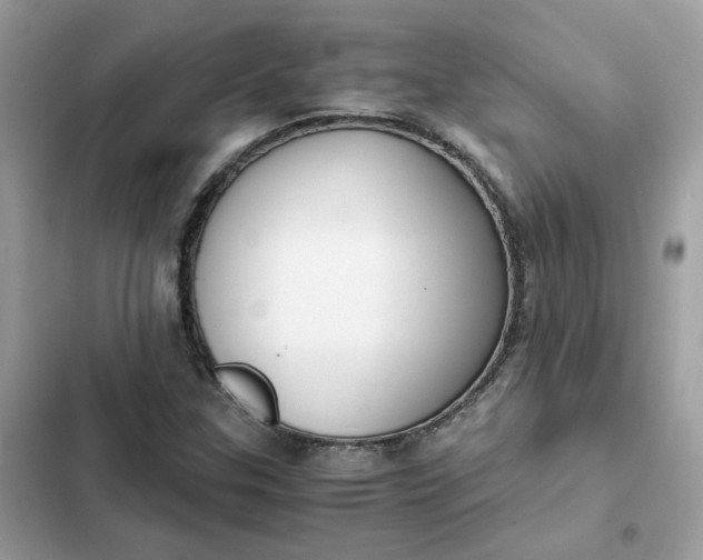 X0000102371307200808151826