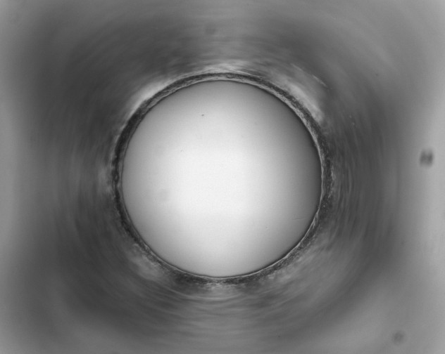 X0000102371308200808151826