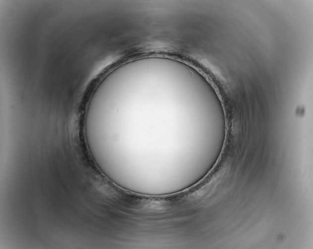 X0000102371309200808151826