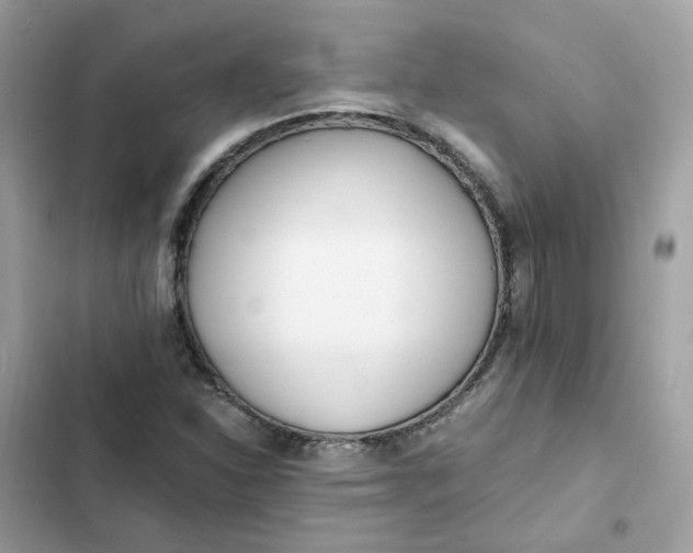 X0000102371310200808151826