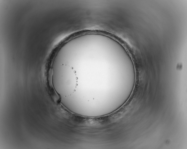 X0000102371311200808151826