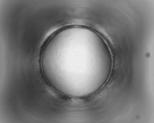 X0000102371312200808151826