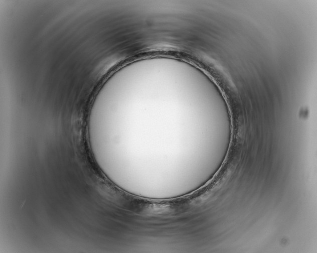 X0000102371313200808151826