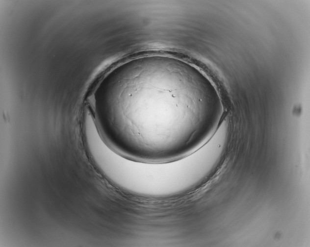 X0000102371314200808151826