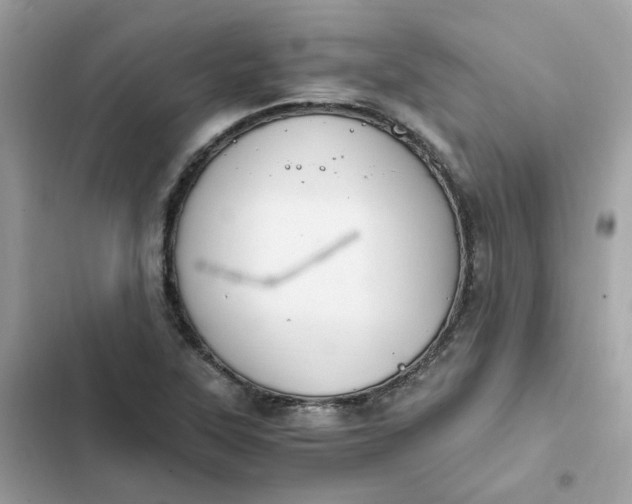 X0000102371315200808151826