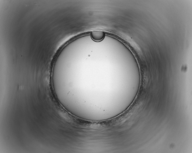 X0000102371316200808151826