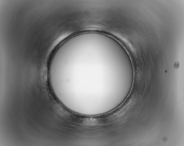 X0000102371317200808151826