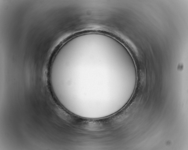 X0000102371318200808151826