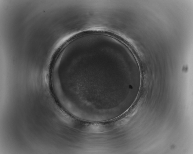 X0000102371319200808151826