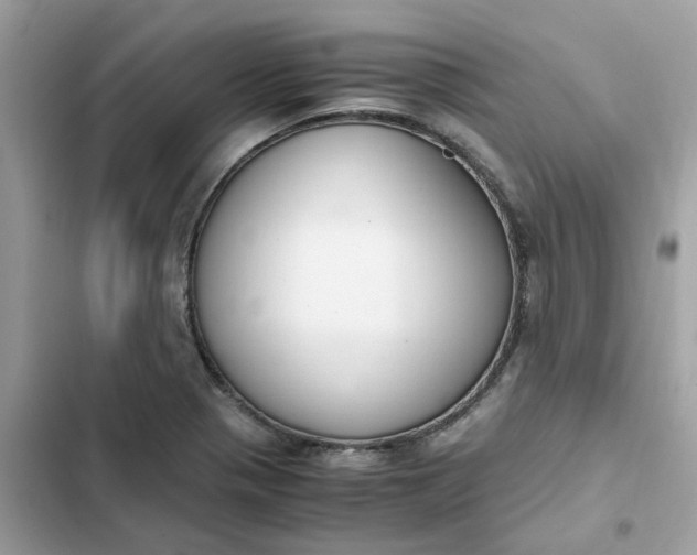 X0000102371321200808151826