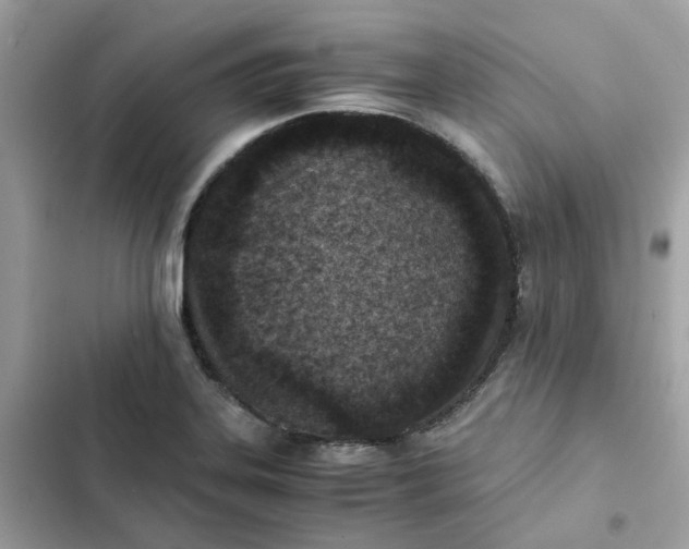 X0000102371323200808151826