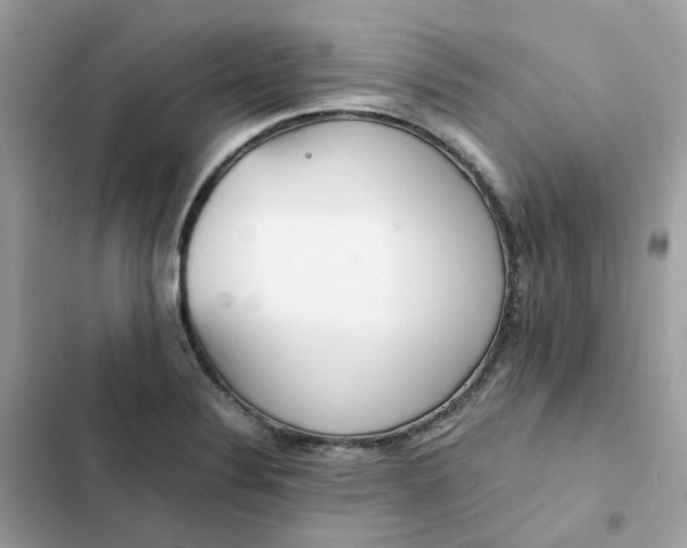 X0000102371324200808151826