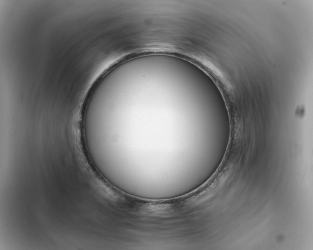 X0000102371325200808151826