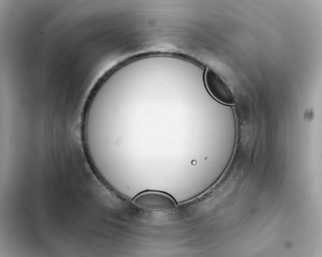 X0000102371326200808151826