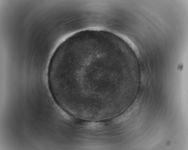 X0000102371327200808151826