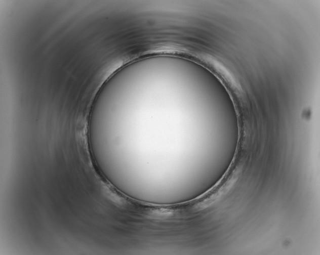 X0000102371329200808151826