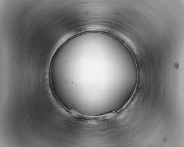 X0000102371330200808151826