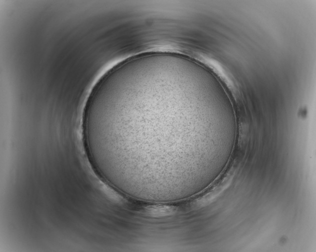 X0000102371331200808151826