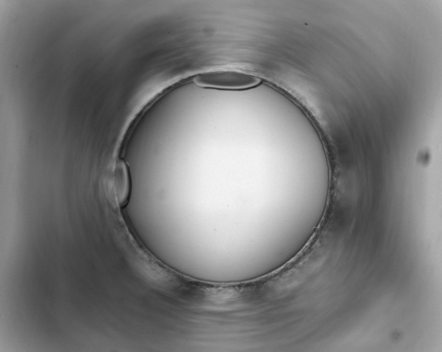 X0000102371332200808151826